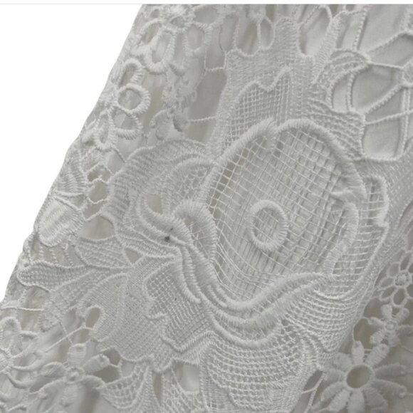 NEW - CUPCAKES and CASHMERE Beautiful Lace Mini Shift Dress - Picture 3 of 4